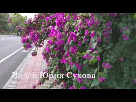Китай 2019 Гостиничный комплекс TIANFUYUAN RESORT 4 * Хайнань /Санья /