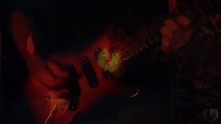 Rare 1982 Electra Phoenix X 145VS!