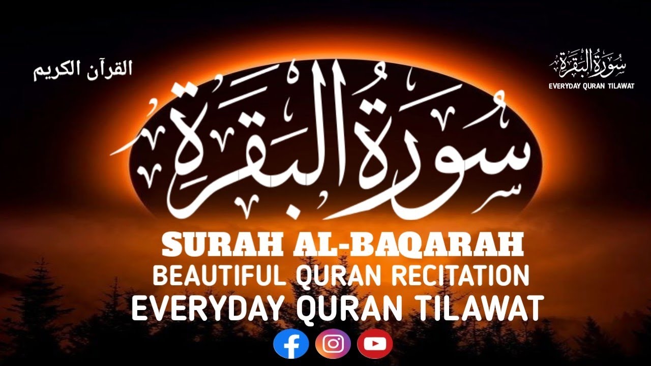 Surah Al Baqarah The Longest Chapter Of The Quran Explained Everyday surah-al-baqarah-the-longest-chapter-of-the-quran-explained-everyday