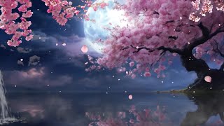 Night Ambience | Sound Of Riverside Waterfall With Fluttering Cherry Blossoms | Bubble Sound by 레맅LetIt - Relaxing ASMR & Music 134 views 1 month ago 8 hours