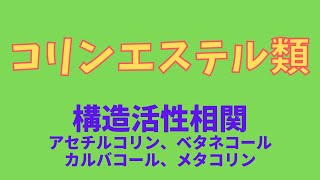 【構造活性相関】アセチルコリン