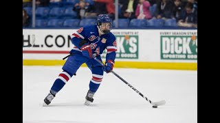 Cole Hutson Highlights
