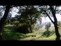 UMBRIA - Trekking Sentieri d' autunno - Paciano colli del Trasimeno