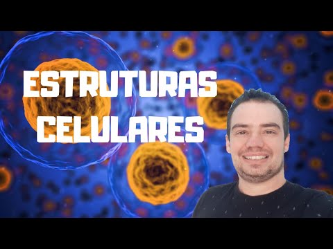 Vídeo: Quais são as funções das estruturas celulares?