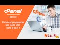 Comment programmer une tche cron dans cpanel 