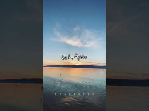      باسمة حلم الطيور