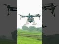 Drone re Medicine Spray kemiti heuchi 🚁🌾 | Smart Farming Odisha #DroneSpray #OdishaFarming