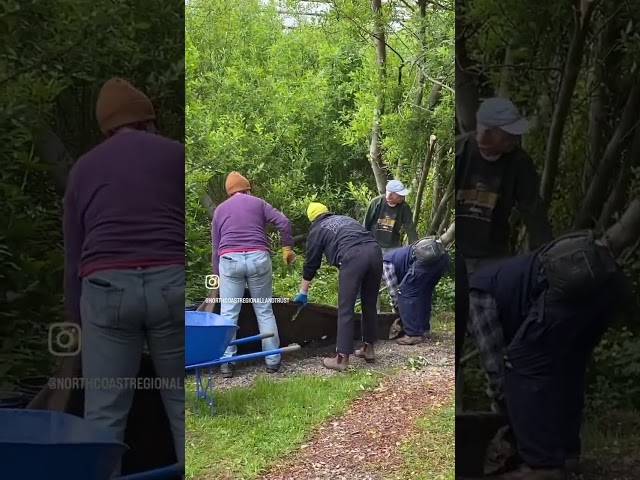 May Monthly Trail Work Event with Humboldt Trails Council