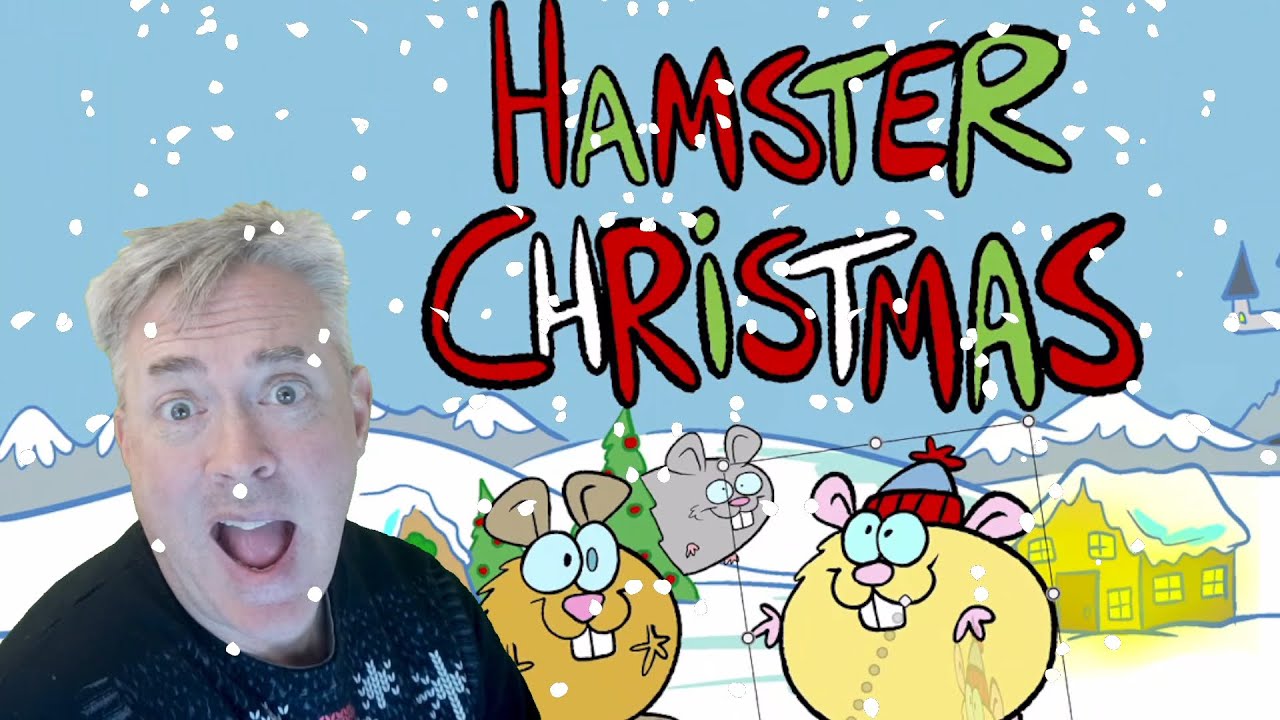 LIVE 🔴 Christmas Hamsters