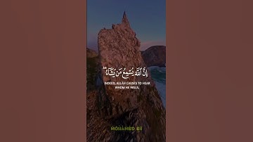 وما يستوى الأعمى والبصير ولا الظلمات ولا النور ( #سورة_فاطر ) 🤲🤍