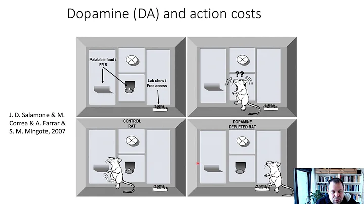 NeuroEcon_L3_2_CostsBenefits