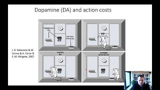 NeuroEcon_L3_2_CostsBenefits