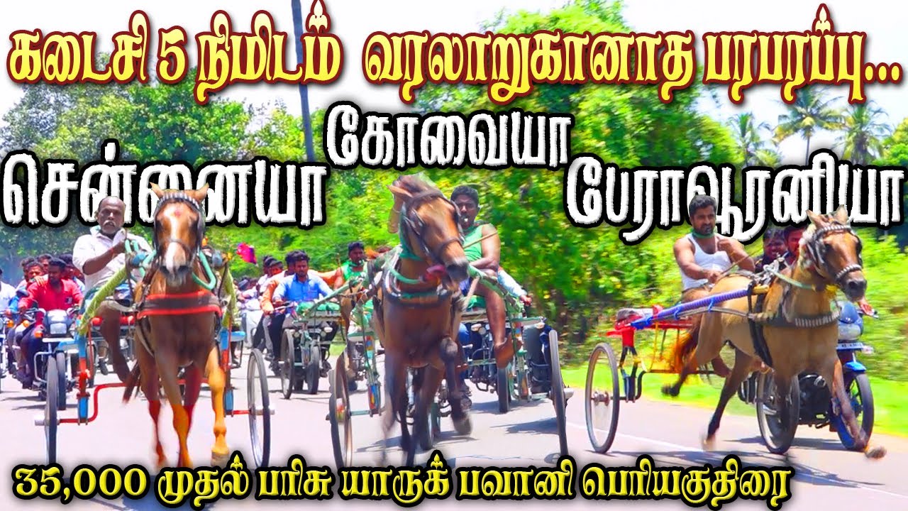 பெரிய குதிரை பவானி 31/07/2022 periya kuthirai pavani