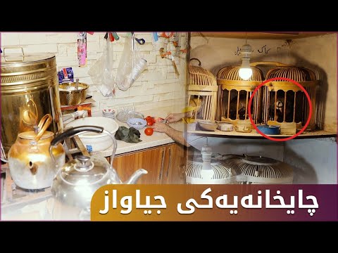 لەم چاخانەیەی سلێمانی بەس بۆ کەو بازانە و شەڕە کەوی تیادەکەن