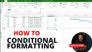 How to do Conditional formatting in Microsoft Project | NiksProjects