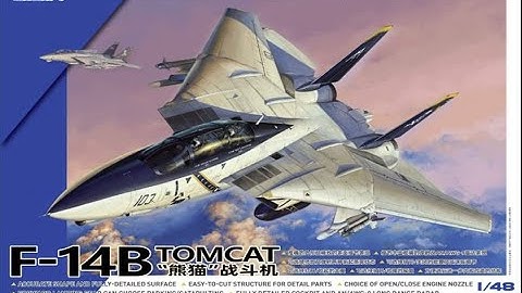 Bargain kit... Great Wall Hobby 1/48 F-14B Tomcat review.