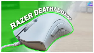 Cheap Mouse Gaming | Razer Deathadder Essential | Full Review | CurTech