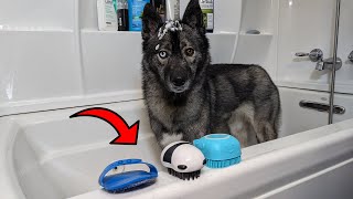 The Dog Bath Brushes Will Give Your Dog a Spa Day!