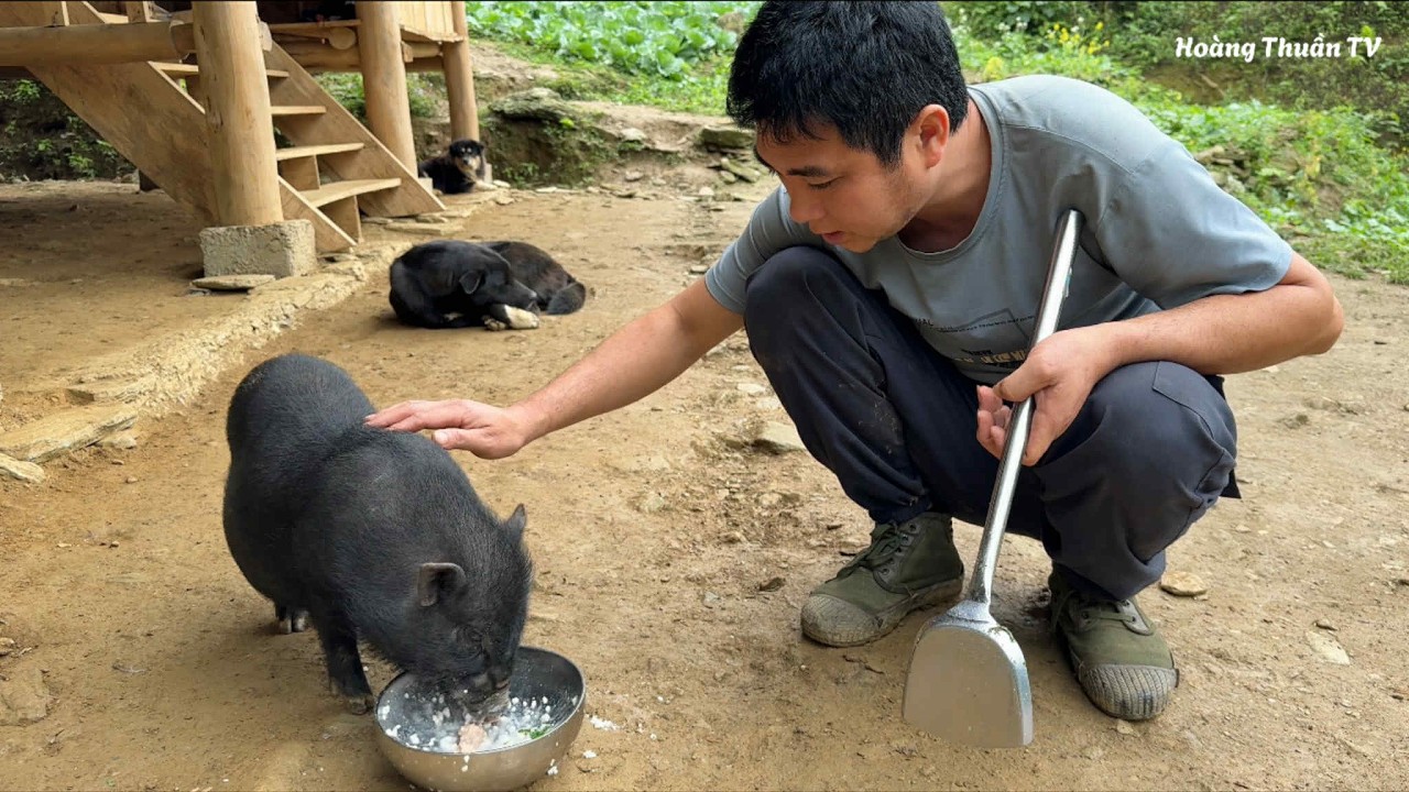Беременная коза забрела в лес; могла ли она родить там?