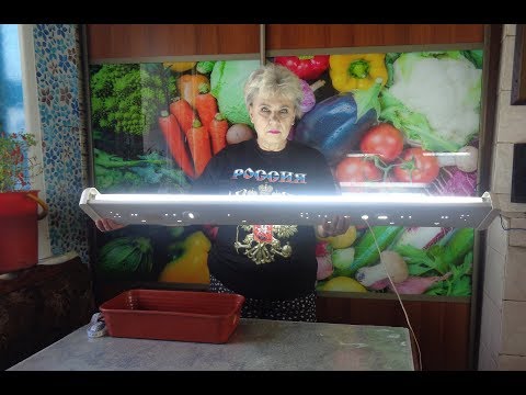 КАКИЕ СВЕТИЛЬНИКИ ВЫБРАТЬ? Ольга Чернова.