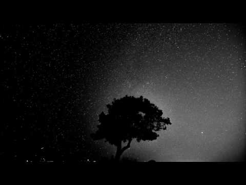 Trashlagoon - Fairy