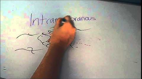 My Modeling Project Bio 201