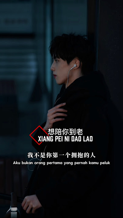 想陪你到老 Xiang pei ni dao lao ( Aku ingin bersamamu sampai tua nanti ) #想陪你到老 #mandarinsong #music