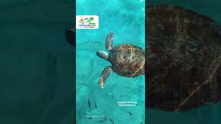 Laguna Redang Island Resort, Your Perfect Island Getaway