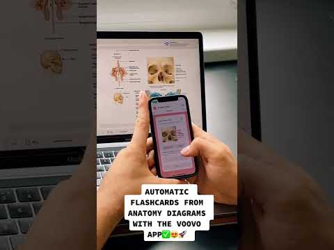Automatic flashcards rule