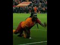 Hangi Gomis Daha Iyi