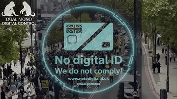 Dual Mono (feat. Simon Townshend) - Digital Control