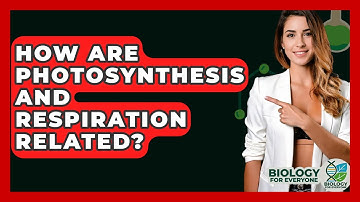 How Are Photosynthesis And Respiration Related? - Biology For Everyone
