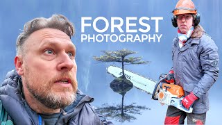 How To Photograph Trees - The Ultimate Guide