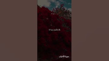 #آيات من #سورة_الاحزاب #اكسبلور #قرآن #لايك #طمأنينه #راحة_نفسية #اسلام