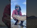 Decent Pike from the shore #fishing #fishingireland #pikefishing #pike