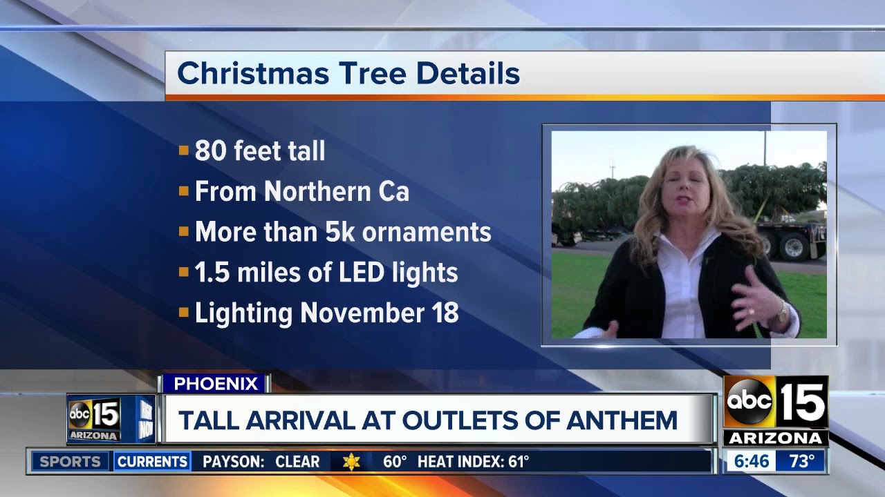 Tallest Christmas tree arrives in Anthem YouTube