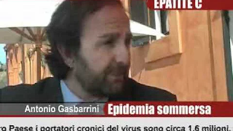 A quale genere appartiene il virus dell'epatite A?