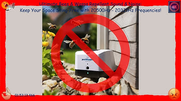 🐝 Ultimate Bees & Wasps Repellent Sound & Noise: Keep Your Space Sting-Free