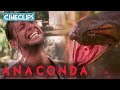Mateo Is Constricted By KILLER Anaconda! | Anaconda | CineClips