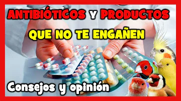 ¿Qué es un medicamento para aves?