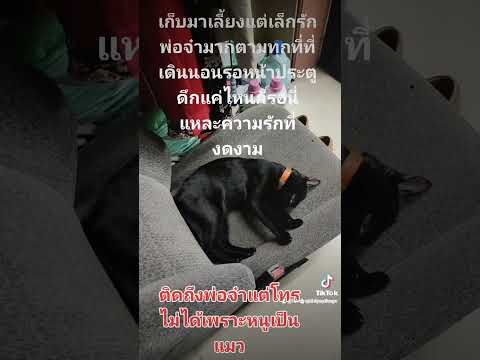 ความรักที่บริสุทธิ์
