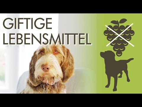 Giftige Lebensmittel für