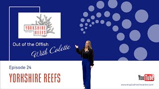 Out of the Offish With Colette Episode 24  Yorkshire Reefs Aquafest 2024 Fish shop tour