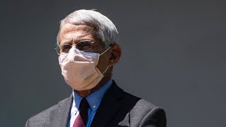 WATCH: Dr. Anthony Fauci and other Trump officials testify on the U.S. coronavirus response