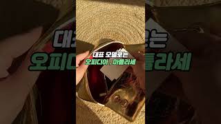럭스모어가 분석한 2025년 인기 가방 순위 #명품가방 #루이비통 #구찌가방 #에르메스버킨백 #디올백 #가방추천 #여성가방