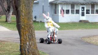 easter bunny