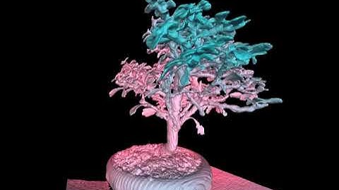 Isosurface computation and rendering in real time