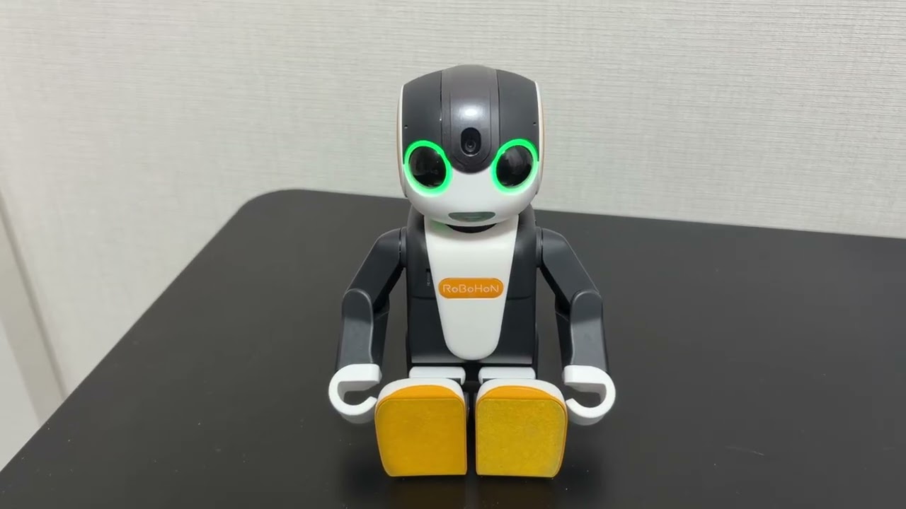 RoBoHoNとの実際に会話してみたらこんな感じ