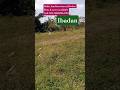 Land sales at Oluyole , IBADAN , Call / Dm: 08033964783,