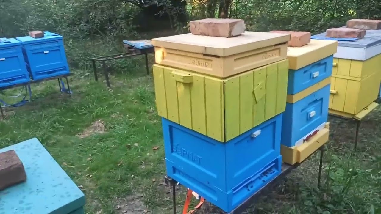 Kontrola poddanych matek z szefową:) 12.08.2025